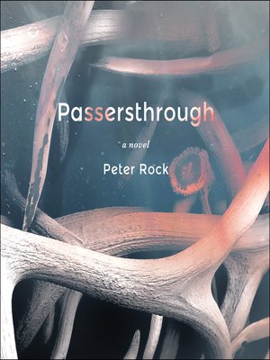 cover image of Passersthrough